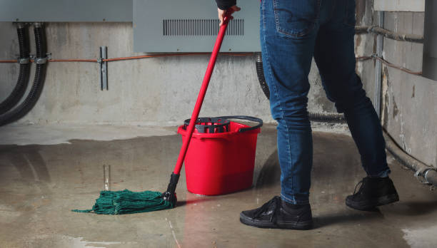 Best Ceiling water damage repair  in Sullivan, IN