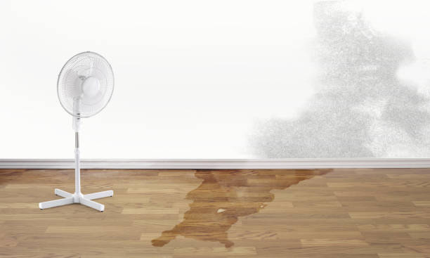 Best 24/7 water damage repair  in Sullivan, IN