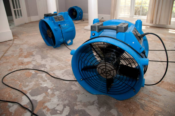 Best Flood restoration services  in Sullivan, IN