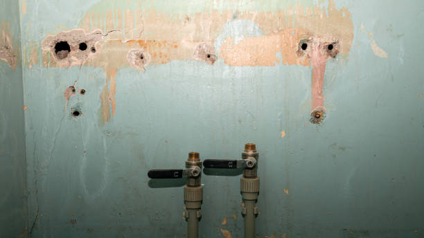 Best Basement water damage restoration  in Sullivan, IN