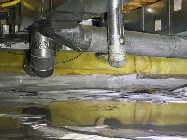 Best Flood damage cleanup  in Sullivan, IN