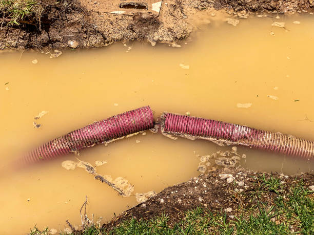 Best Water damage restoration near me  in Sullivan, IN